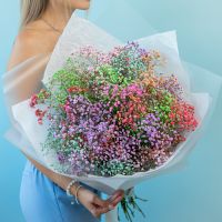 Гипсофила радужная 15 шт