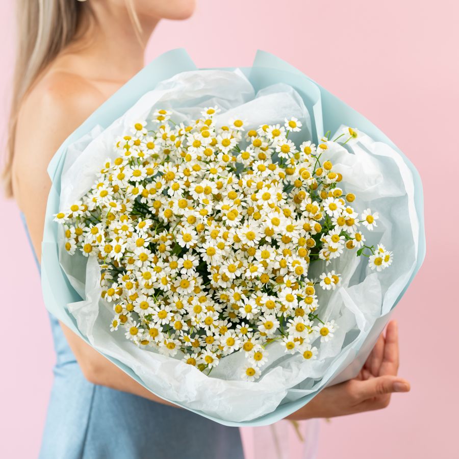 Матрикария 15 шт