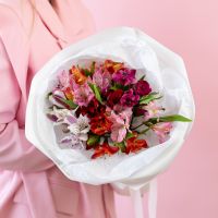 Альстромерия 7 шт в белой упаковке