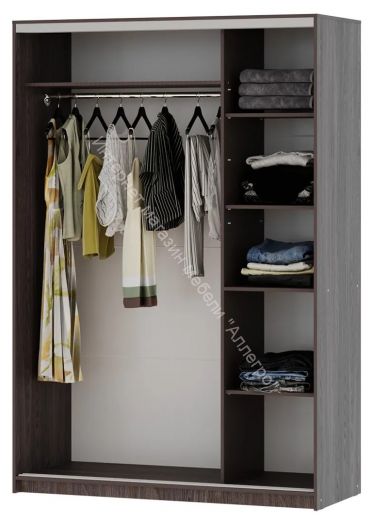 Шкаф-купе "Мираж 15.1" 2-х дверный с зеркалом Ясень анкор темный
