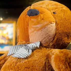 Появление СРЕДНЕГО Медведя Appearing Teddy Bear by J.C Magic & Bacon Magic