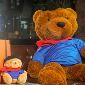 ИНТЕРАКТИВНЫЙ НОМЕР Предсказание и Появление МЕДВЕДЯ Prediction Set Appearing Teddy Bear by Bacon Magic