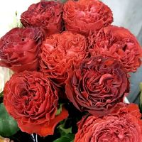 Самарканда (Samarkanda) 2 сорт