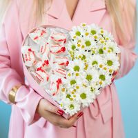 Сердце М с рафаэлло