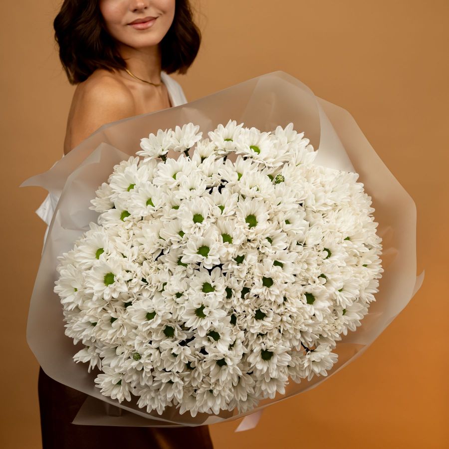 Хризантема кустовая Ромашка от 5 шт