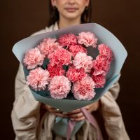 Диантусы розовые 15 шт