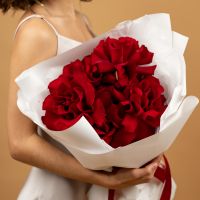 Французская роза 5 шт (Эсклорер)