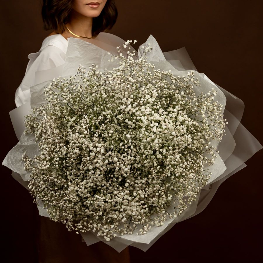 Гипсофила белая от 7 шт