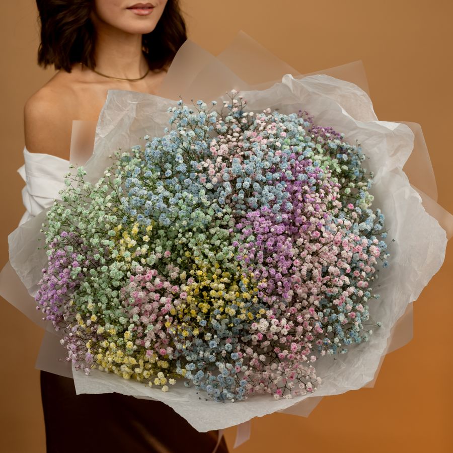 Гипсофила радужная 25 шт