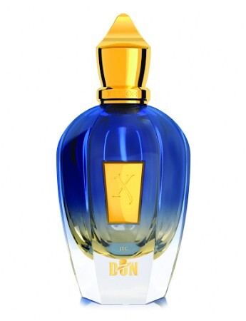 XERJOFF JTC DON парфюмерная вода (женские) 100ml