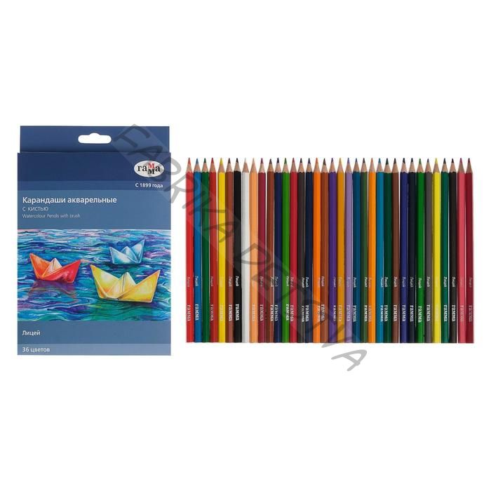 Карандаши цветные акварельные 36 цветов, «Гамма. Лицей», с кистью, шестигранные