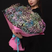 Радужная гипсофила в оформлении (от 11 шт)