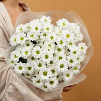 Хризантема (сорт Бакарди) в оформлении (9 шт)