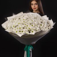 Хризантема кустовая "Ромашка" в оформлении (от 5 шт)