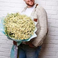 Монобукет из танацетума 201 шт