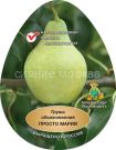 Grusha-Prosto-Mariya-podvoj-semennoj-grusha-lesnaya-1-sht-Poisk