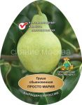 Grusha-Prosto-Mariya-podvoj-semennoj-grusha-lesnaya-1-sht-Poisk