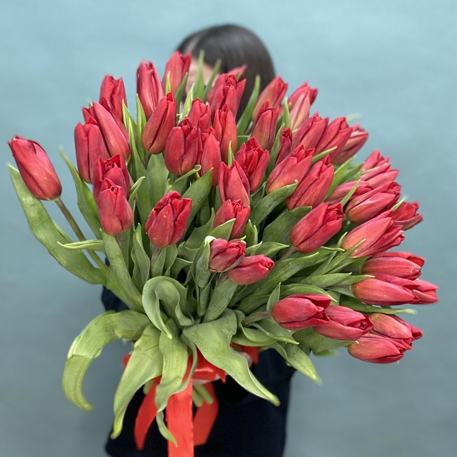 Роскошные тюльпаны