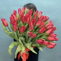 Роскошные тюльпаны