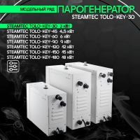 Парогенератор Steamtec TOLO KEY 30 - 3 кВт