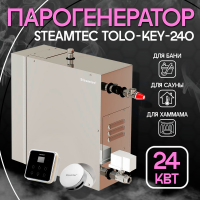 Парогенератор Steamtec TOLO KEY 240 - 24 кВт