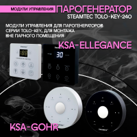 Парогенератор Steamtec TOLO KEY 240 - 24 кВт