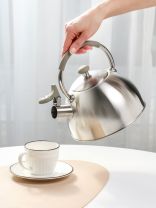 Чайник нержавеющая сталь, 2.5 л, со свистком, матовый, ручка силикон, Катунь, индукция, серебристый, КТ-149