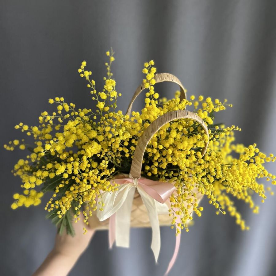 Корзина с цветами мимоза