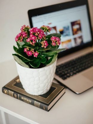 Горшок для цветов пластик, 1.4 л, 15х13 см, белый, Idea, Камни, М 3172