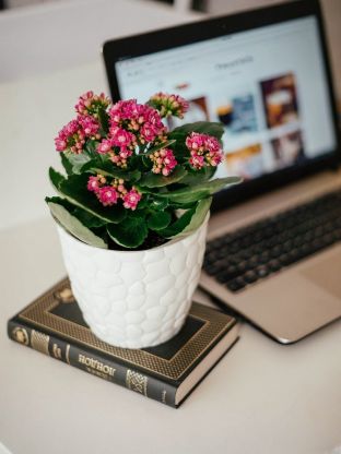 Горшок для цветов пластик, 2.6 л, 18х15.5 см, белый, Idea, Камни, М 3173