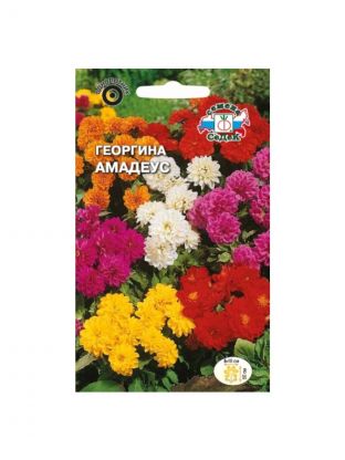 Семена Цветы, Георгина, Амадеус, 0.15 г, смесь, цветная упаковка, Седек
