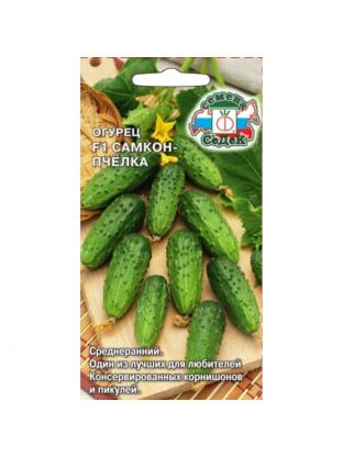 Семена Огурец, Самкон Пчёлка, цветная упаковка, Седек