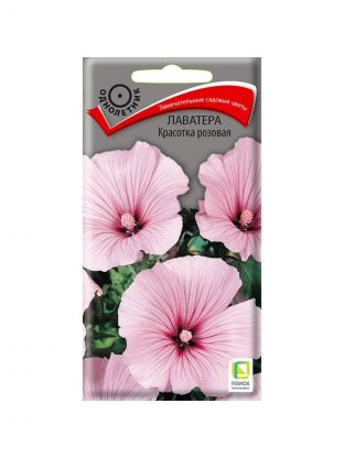 Семена Цветы, Лаватера, Красотка розовая, 0.3 г, цветная упаковка, Поиск