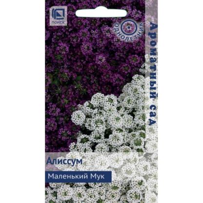 Семена Цветы, Алиссум, Маленький Мук, 0.3 г, Ароматный сад, цветная упаковка, Поиск