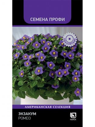 Семена Цветы, Экзакум, Ромео, 5 шт, цветная упаковка, Поиск