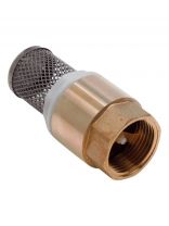 Клапан обратный 1", ВН/ВН, с фильтром, AquaLink