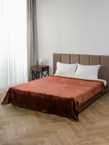 Плед 2-спальный, 180х200 см, велсофт, 100% полиэстер, Silvano, Шоколад, ST-351