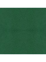 Винилискожа 42 м2, зеленая, 104 см, 691/16 514/728 32/26 14/26 520