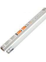 Лампа светодиодная G13, 10 Вт, 6500 К, холодный белый свет, JazzWay, Frost Pled T8-600GL, 1025326