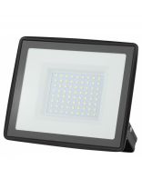 Прожектор светодиодный, Эра, LPR-023-0-65K-100, 100 Вт, 6500 К, IP65, 8000 Лм, Б0052026