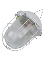 Светильник General Lighting Systems, НСП 02-100-002.01, 100 Вт, E27, на 1 лампочку, IP54, 24.6х24.6х17.2 см, с решеткой, 437822