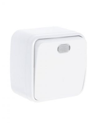 Выключатель открытой установки, одноклавишный, без заземления, 10 А, подсветка, IP20, белый, TDM Electric, Дача, SQ1824-0005