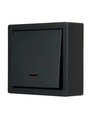 Выключатель открытой установки, одноклавишный, без заземления, 10 А, 220 В, пластик, подсветка, IP20, черный, Lezard, Leto, 752-4200-111