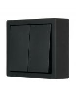 Выключатель открытой установки, двухклавишный, без заземления, 10 А, 220 В, пластик, IP20, черный, Lezard, Leto, 752-4200-101