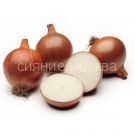 Luk-sevok-SheTANA-10-21-ROSSIya-500-g