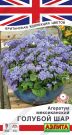 Ageratum-meksikanskij-Goluboj-Shar-Ajelita