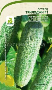 Огурец Трилоджи F1 5шт Rijk Zwaan/Садовита