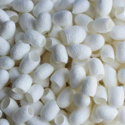 Коконы шелкопряда для пилинга лица 10 шт в упаковке