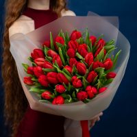 Тюльпаны алые 35шт