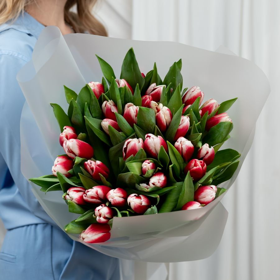 Тюльпаны красно-белые 35шт